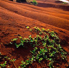 《斯普拉遁3》24分钟实机演示 9月9日正式发售